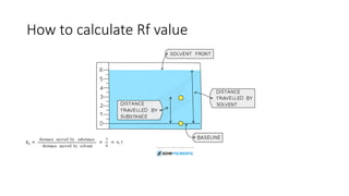 Rf Value Rearrange Comprehensive Guide to Chemical Analysis and Mixture Separation ...