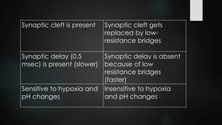 Synaptic cleft is present Synaptic cleft gets
replaced by low-
resistance bridges
Synaptic delay (0.5
msec) is present (slower)
Synaptic delay is absent
because of low
resistance bridges
(faster)
Sensitive to hypoxia and
pH changes
Insensitive to hypoxia
and pH changes
 