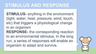 Stimul Chemical and nervous control | PPTX
