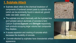 Chemical Attack On Concrete At Various Construction.pptx