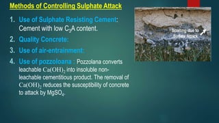 Chemical Attack On Concrete At Various Construction.pptx