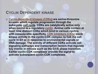 protein phosphorylation | PPTX
