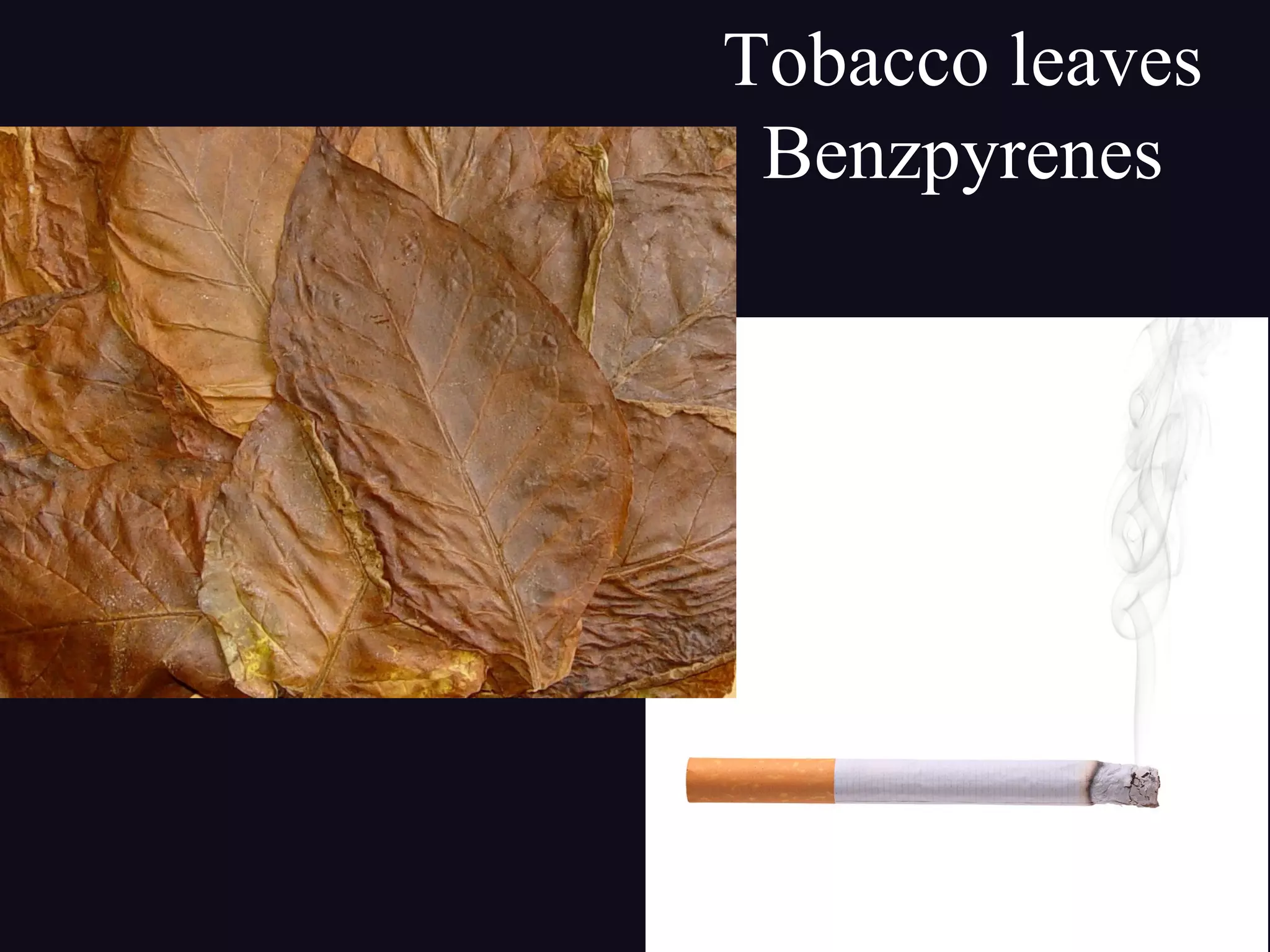 formaldehyde in tobacco Portland State University Professor Finds Formaldehyde In E-Cigarettes