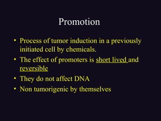 Promotion
• Process of tumor induction in a previously
initiated cell by chemicals.
• The effect of promoters is short lived and
reversible
• They do not affect DNA
• Non tumorigenic by themselves
 