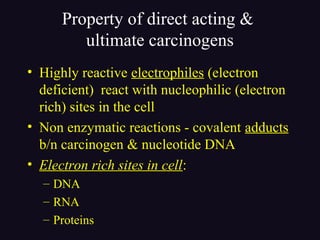Property of direct acting &
ultimate carcinogens
• Highly reactive electrophiles (electron
deficient) react with nucleophilic (electron
rich) sites in the cell
• Non enzymatic reactions - covalent adducts
b/n carcinogen & nucleotide DNA
• Electron rich sites in cell:
– DNA
– RNA
– Proteins
 