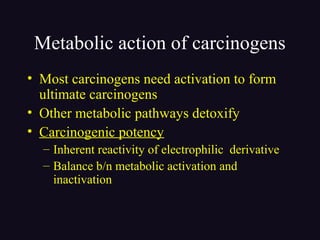 Metabolic action of carcinogens
• Most carcinogens need activation to form
ultimate carcinogens
• Other metabolic pathways detoxify
• Carcinogenic potency
– Inherent reactivity of electrophilic derivative
– Balance b/n metabolic activation and
inactivation
 
