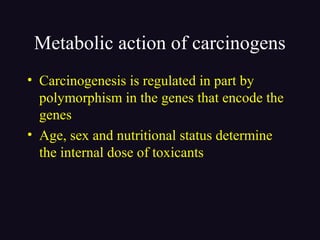 Metabolic action of carcinogens
• Carcinogenesis is regulated in part by
polymorphism in the genes that encode the
genes
• Age, sex and nutritional status determine
the internal dose of toxicants
 