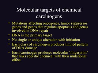 Molecular targets of chemical
carcinogens
• Mutations affecting oncogenes, tumor suppressor
genes and genes that regulate apoptosis and genes
involved in DNA repair
• DNA is the primary target
• No single or unique alteration with initiation
• Each class of carcinogen produces limited pattern
of DNA damage
• Each carcinogen produces molecular ‘fingerprint’
that links specific chemical with their mutational
effect
 