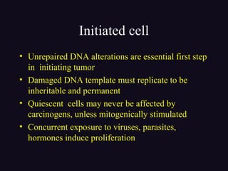 Initiated cell
• Unrepaired DNA alterations are essential first step
in initiating tumor
• Damaged DNA template must replicate to be
inheritable and permanent
• Quiescent cells may never be affected by
carcinogens, unless mitogenically stimulated
• Concurrent exposure to viruses, parasites,
hormones induce proliferation
 