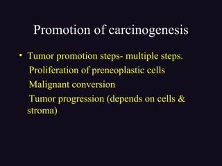 Promotion of carcinogenesis
• Tumor promotion steps- multiple steps.
Proliferation of preneoplastic cells
Malignant conversion
Tumor progression (depends on cells &
stroma)
 