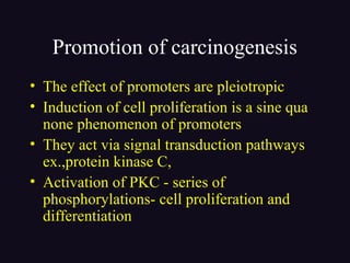 Promotion of carcinogenesis
• The effect of promoters are pleiotropic
• Induction of cell proliferation is a sine qua
none phenomenon of promoters
• They act via signal transduction pathways
ex.,protein kinase C,
• Activation of PKC - series of
phosphorylations- cell proliferation and
differentiation
 