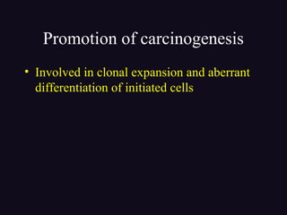 Promotion of carcinogenesis
• Involved in clonal expansion and aberrant
differentiation of initiated cells
 