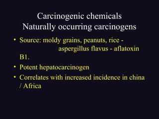Carcinogenic chemicals
Naturally occurring carcinogens
• Source: moldy grains, peanuts, rice -
aspergillus flavus - aflatoxin
B1.
• Potent hepatocarcinogen
• Correlates with increased incidence in china
/ Africa
 