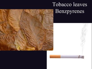 Tobacco leaves
Benzpyrenes
 