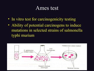 Ames test
• In vitro test for carcinogenicity testing
• Ability of potential carcinogens to induce
mutations in selected strains of salmonella
typhi murium
 