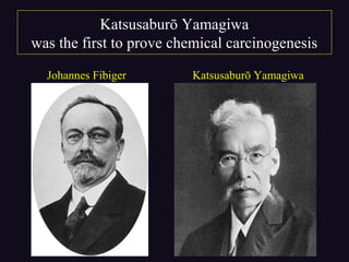 Katsusaburō Yamagiwa
was the first to prove chemical carcinogenesis
Johannes Fibiger Katsusaburō Yamagiwa
 