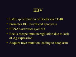 EBV
• LMP1-proliferation of Bcells via CD40
• Promotes BCL2-reduced apoptosis
• EBNA2-activates cyclinD
• Bcells escape immuneregulation due to lack
of Ag expression
• Acquire myc mutation leading to neoplasm
 