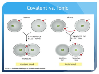 Covalent vs. Ionic
 