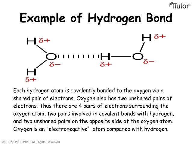 exle of hydrogen bond chemicalbonding exle of hydrogen bond chemicalbonding