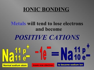 IONIC BONDING
Metals will tend to lose electrons
and become
POSITIVE CATIONS
Normal sodium atom loses one electron to become sodium ion
 