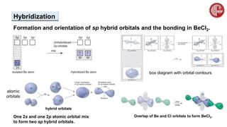 Formation and orientation of sp hybrid orbitals and the bonding in BeCl2.
atomic
orbitals
hybrid orbitals
One 2s and one 2p atomic orbital mix
to form two sp hybrid orbitals.
Hybridization
box diagram with orbital contours
Overlap of Be and Cl orbitals to form BeCl2.
 