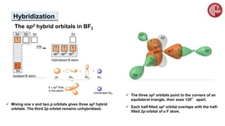 The sp2 hybrid orbitals in BF3
Hybridization
 Mixing one s and two p orbitals gives three sp2 hybrid
orbitals. The third 2p orbital remains unhybridized.
 The three sp2 orbitals point to the corners of an
equilateral triangle, their axes 120° apart.
 Each half-filled sp2 orbital overlaps with the half-
filled 2p orbital of a F atom.
 