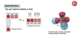 The O lone pairs occupy sp3 hybrid
orbitals, giving a bent shape.
The sp3 hybrid orbitals in H2O
Hybridization
 