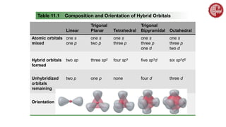 Table 11.1 Composition and Orientation of Hybrid Orbitals
Linear
Trigonal
Planar Tetrahedral
Trigonal
Bipyramidal Octahedral
Atomic orbitals
mixed
one s
one p
one s
two p
one s
three p
one s
three p
one d
one s
three p
two d
Hybrid orbitals
formed
two sp three sp2 four sp3 five sp3d six sp3d2
Unhybridized
orbitals
remaining
two p one p none four d three d
Orientation
 