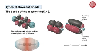 Each C is sp hybridized and has
two unhybridized p orbitals.
The s and p bonds in acetylene (C2H2).
Types of Covalent Bonds
 