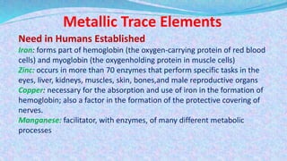 Metallic Trace Elements
Need in Humans Established
Iron: forms part of hemoglobin (the oxygen-carrying protein of red blood
cells) and myoglobin (the oxygenholding protein in muscle cells)
Zinc: occurs in more than 70 enzymes that perform specific tasks in the
eyes, liver, kidneys, muscles, skin, bones,and male reproductive organs
Copper: necessary for the absorption and use of iron in the formation of
hemoglobin; also a factor in the formation of the protective covering of
nerves.
Manganese: facilitator, with enzymes, of many different metabolic
processes
 