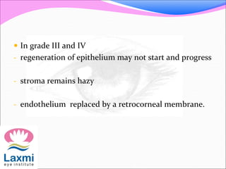  In grade III and IV
- regeneration of epithelium may not start and progress
- stroma remains hazy
- endothelium replaced by a retrocorneal membrane.
 