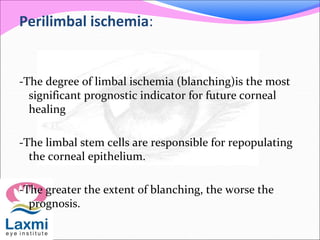 Perilimbal ischemia:
-The degree of limbal ischemia (blanching)is the most
significant prognostic indicator for future corneal
healing
-The limbal stem cells are responsible for repopulating
the corneal epithelium.
-The greater the extent of blanching, the worse the
prognosis.
 