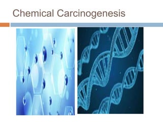 Chemical Carcinogenesis
 