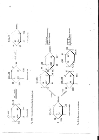 Chemical changes in food during processing
