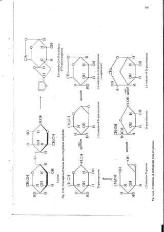 Chemical changes in food during processing