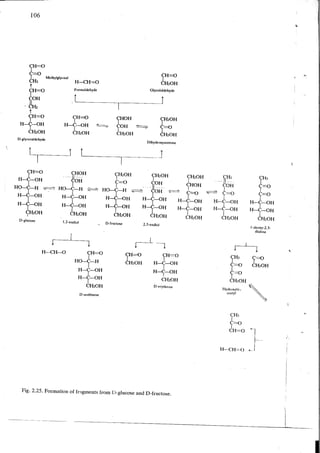 Chemical changes in food during processing