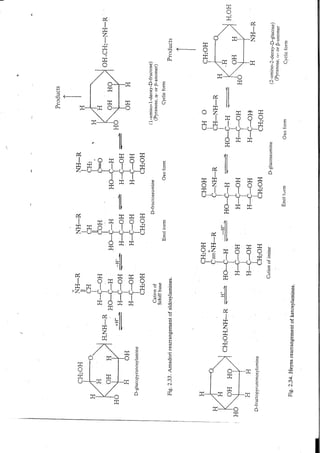 Chemical changes in food during processing