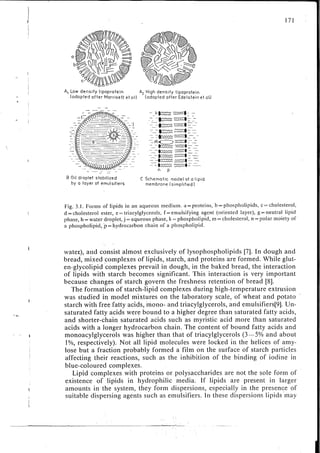 Chemical changes in food during processing