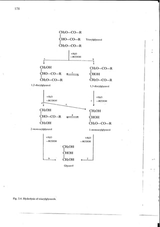 Chemical changes in food during processing