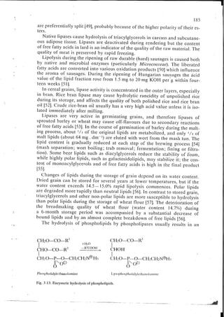 Chemical changes in food during processing