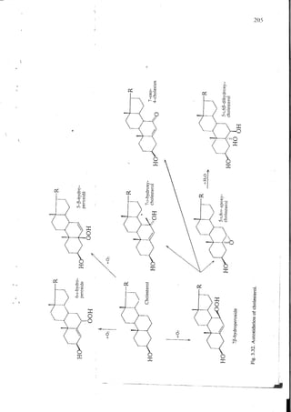Chemical changes in food during processing