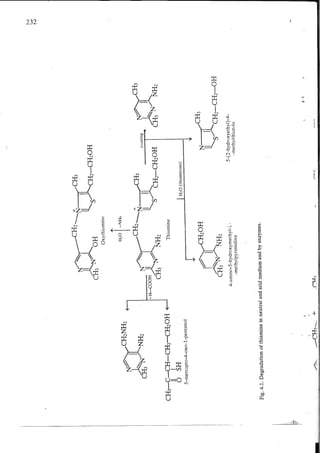 Chemical changes in food during processing