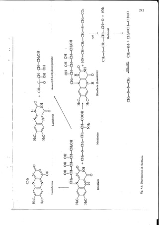 Chemical changes in food during processing