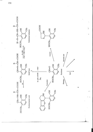 Chemical changes in food during processing