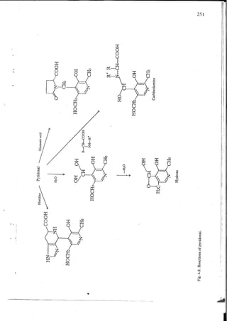 Chemical changes in food during processing