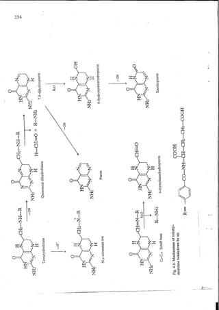 Chemical changes in food during processing