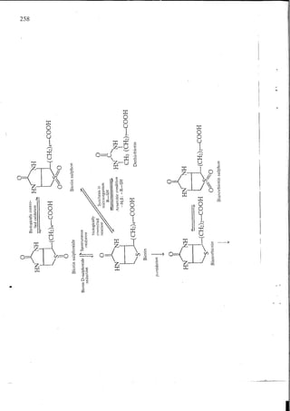 Chemical changes in food during processing