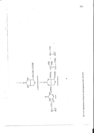Chemical changes in food during processing