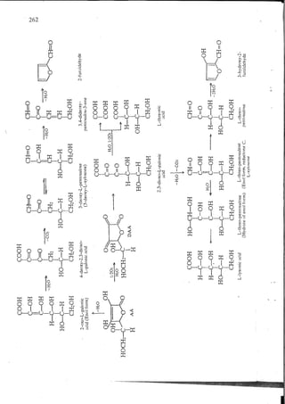 Chemical changes in food during processing