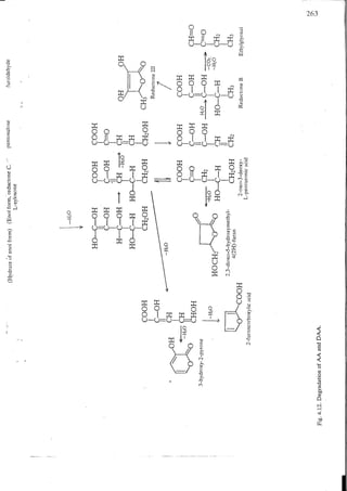 Chemical changes in food during processing
